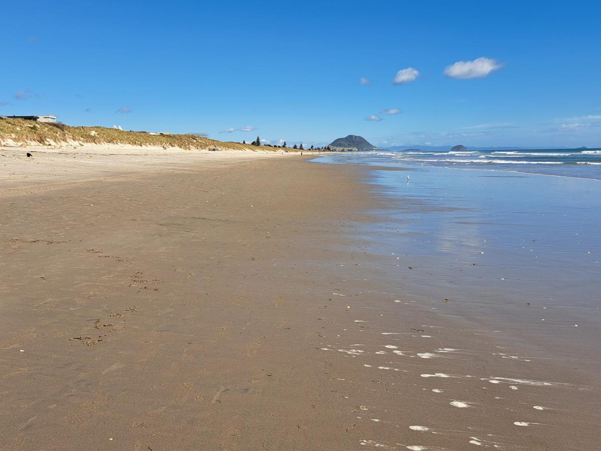 Sunbrae Beach Sands Y マウント・マウンガヌイ エクステリア 写真